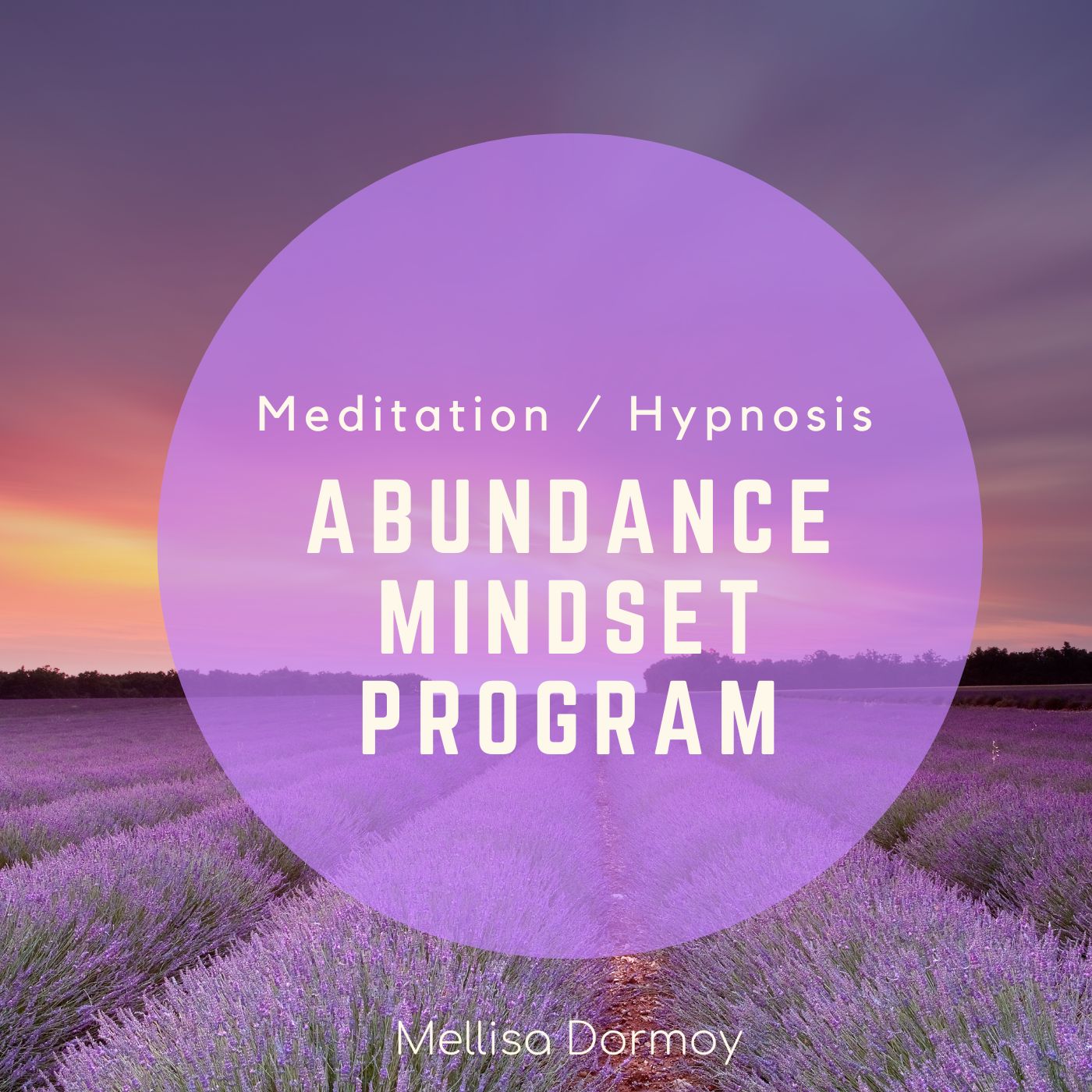 Abundance Mindset Audio Program