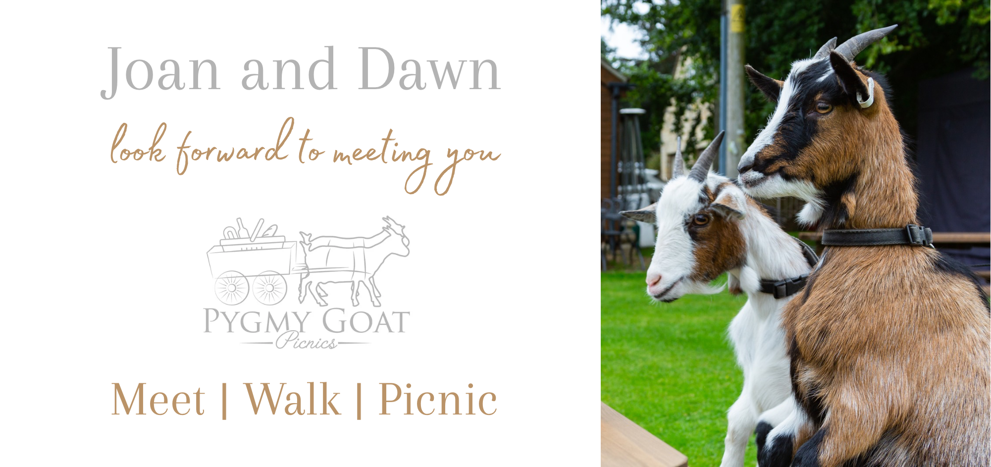 Meet Joan and Dawn Gift Voucher