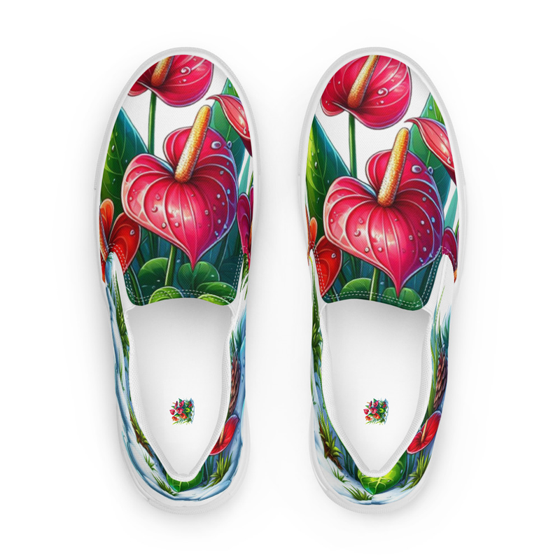 Women’s slip-on canvas shoes