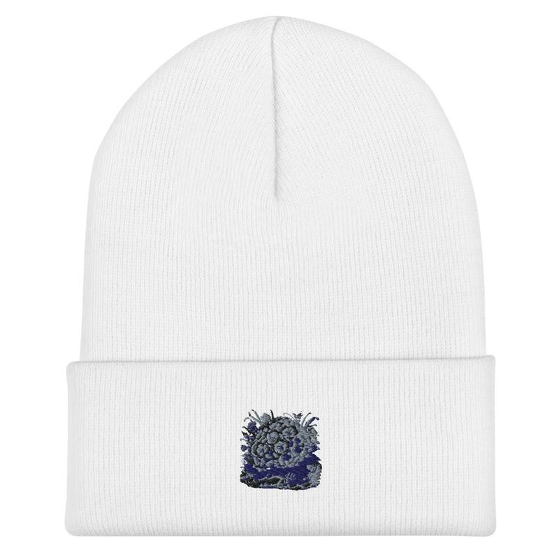 Cuffed Beanie