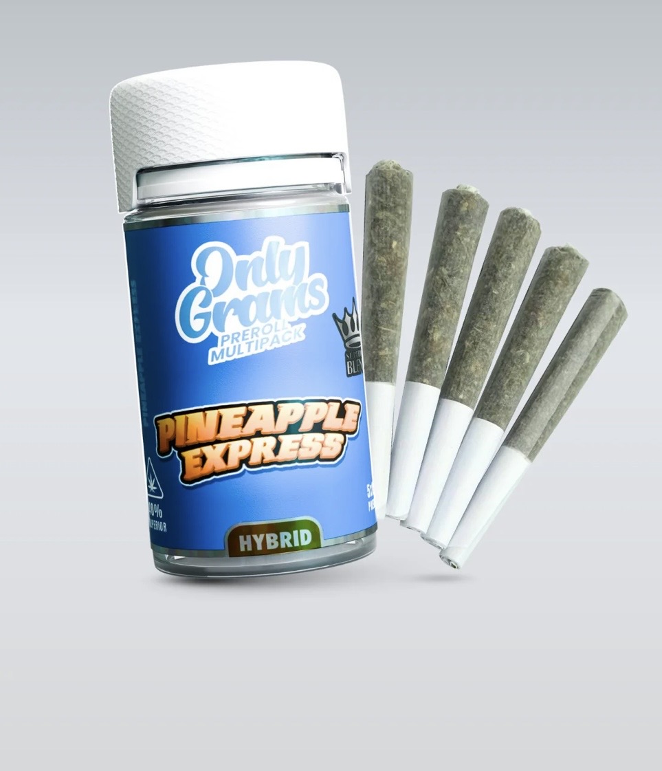 Preroll Multipack-Onlygram 