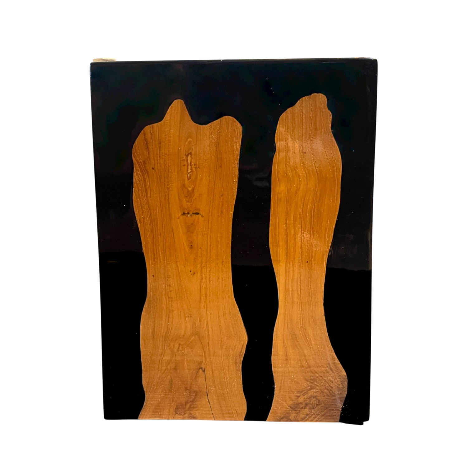 MESA DE CENTRO INDONESIA ÉBANO CUBO IDTA01N