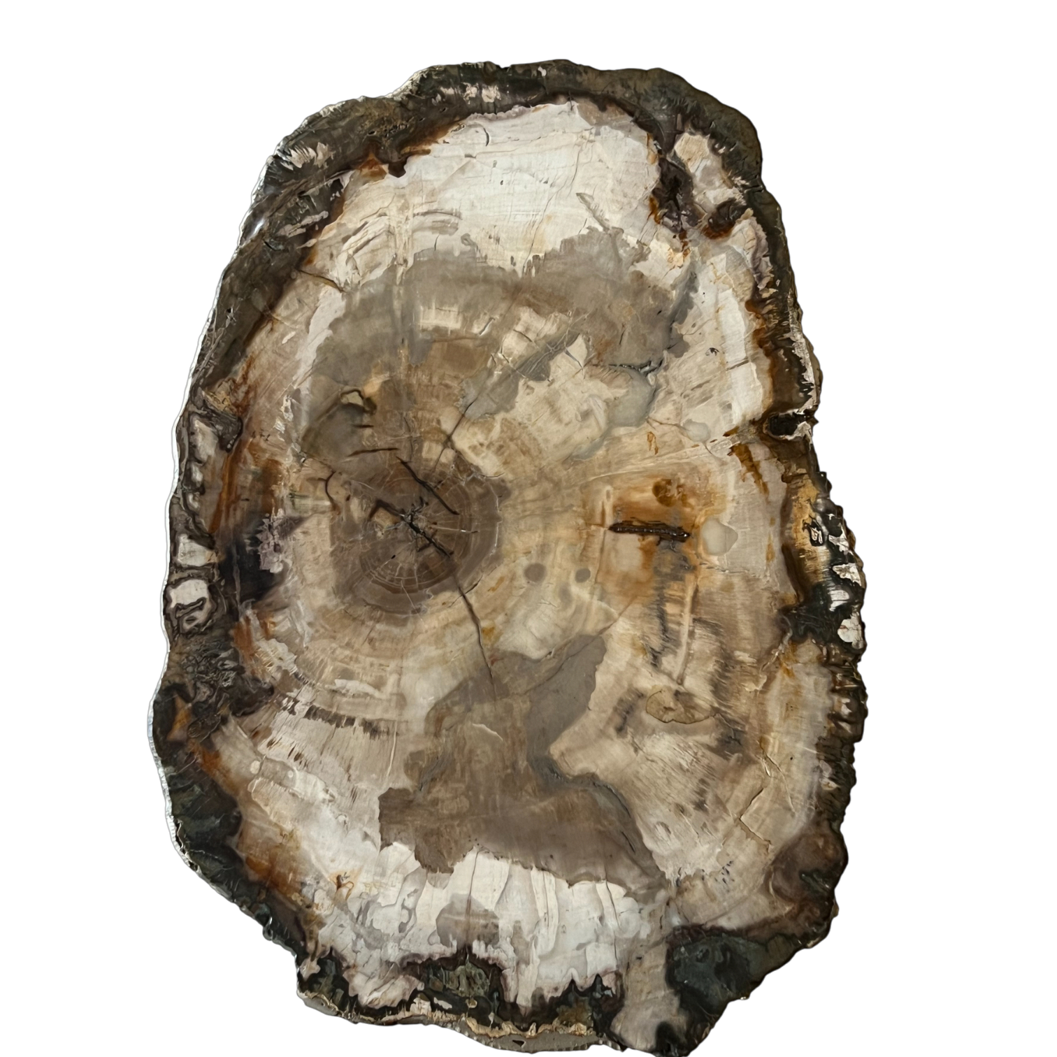 MESA DE CENTRO INDIA  NASHK INM12