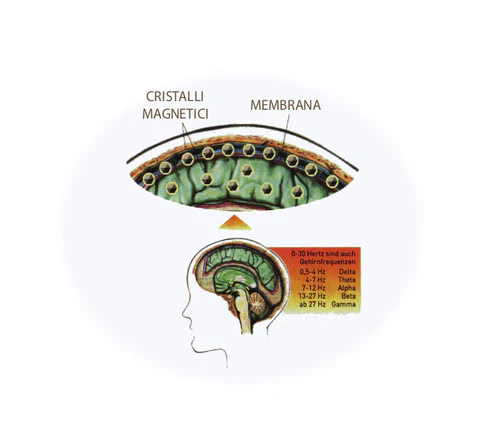 My Defender Brain