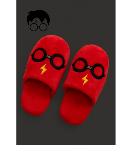 Pantuflas de Harry Potter Lentes