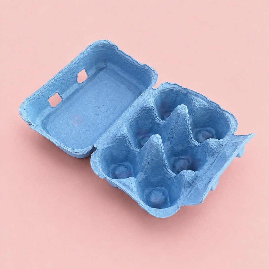 Coloured 6 Egg Cartons 