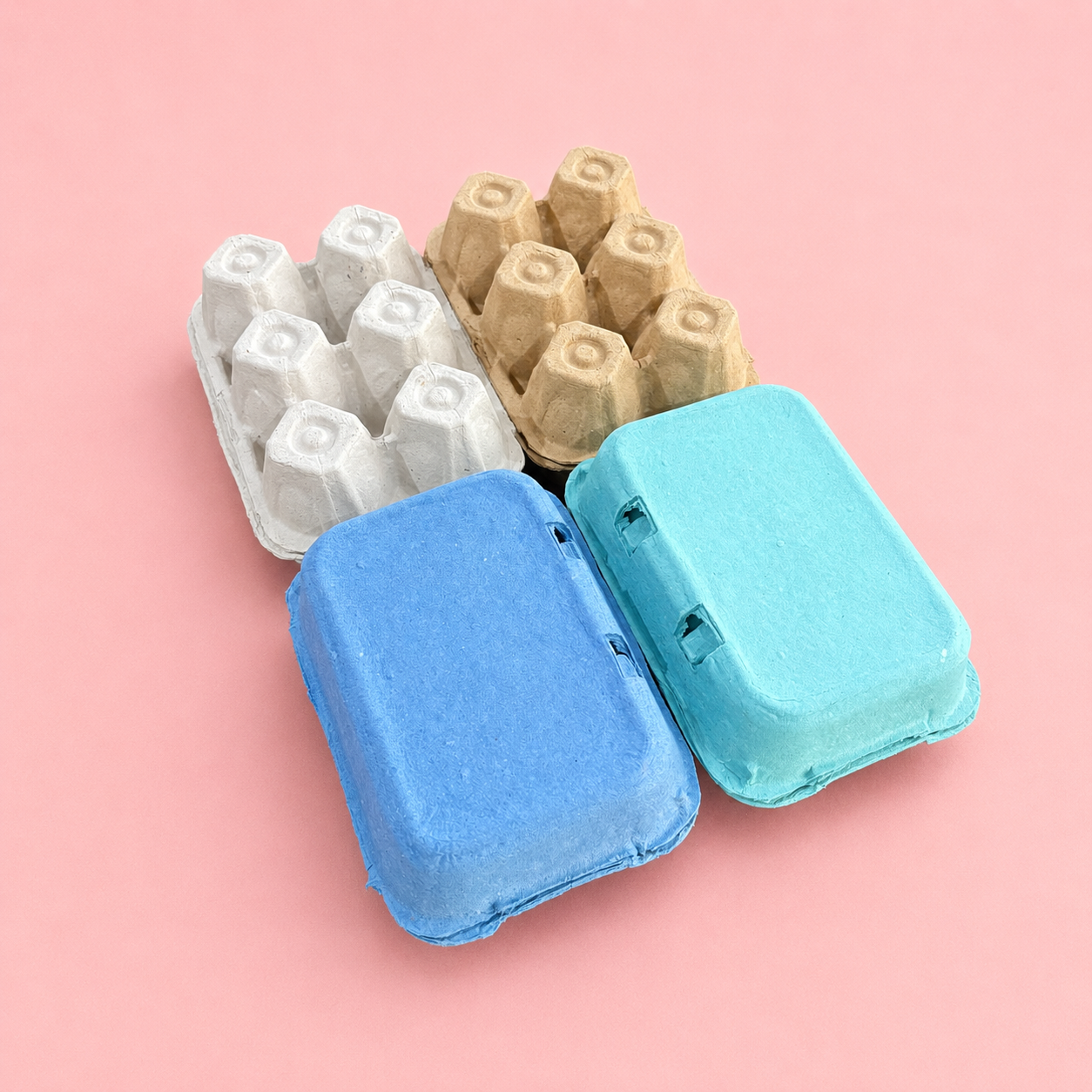 Coloured 6 Egg Cartons 