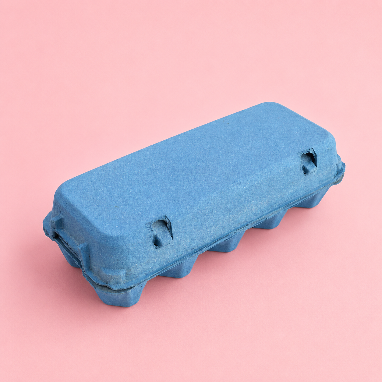 Coloured 10 Egg Cartons
