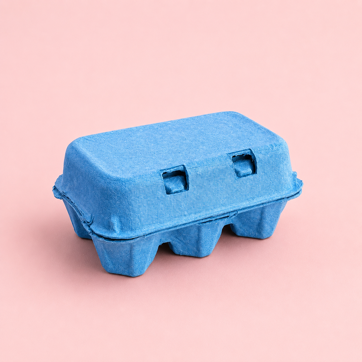 Coloured 6 Egg Cartons 