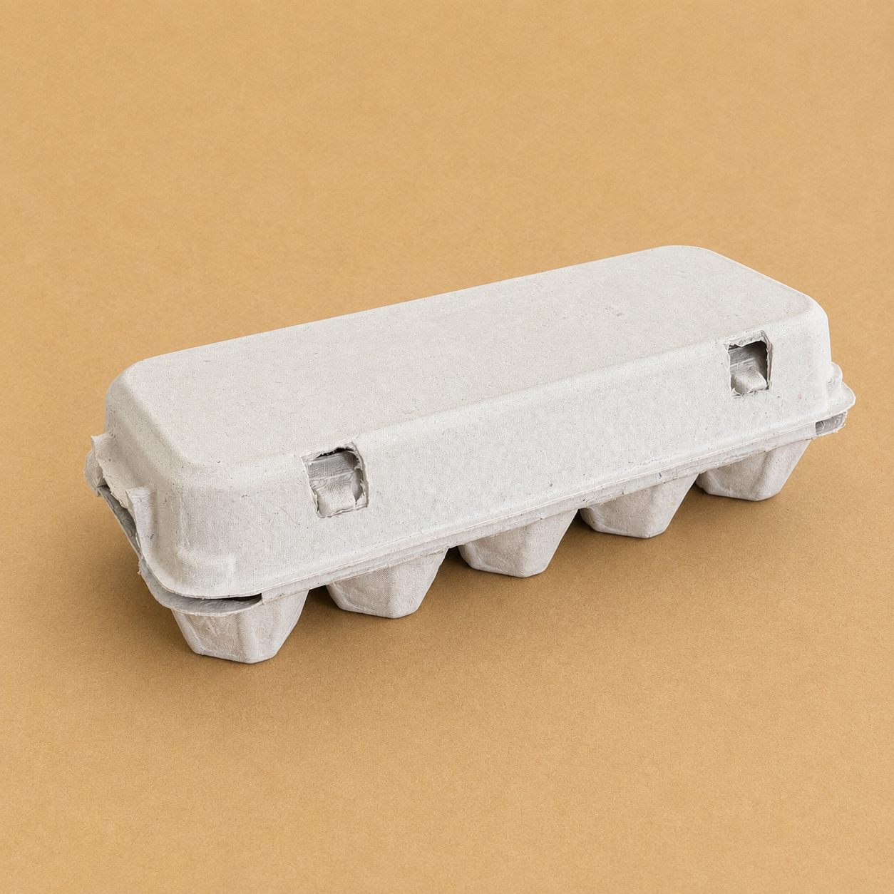 Coloured 10 Egg Cartons