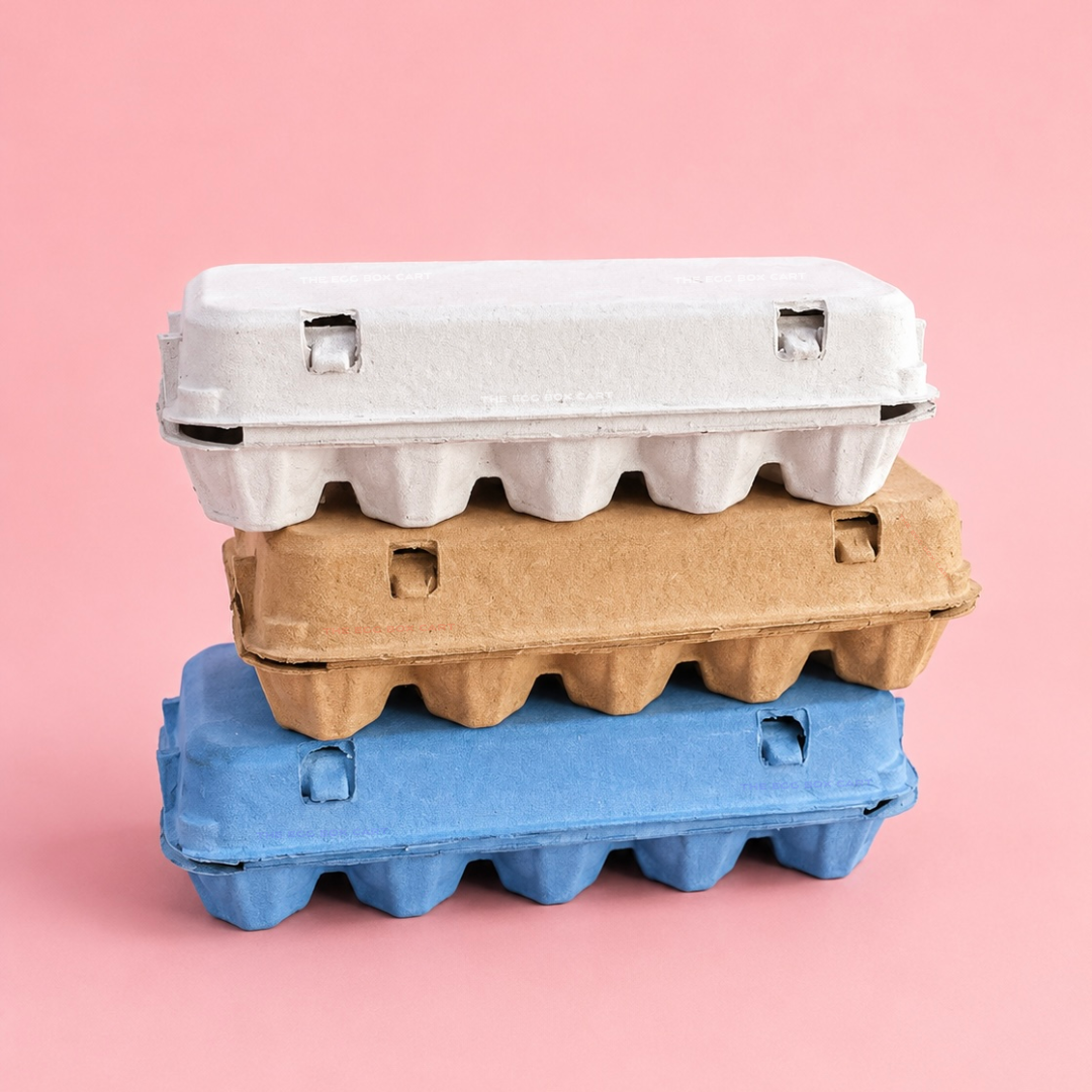 Coloured 10 Egg Cartons