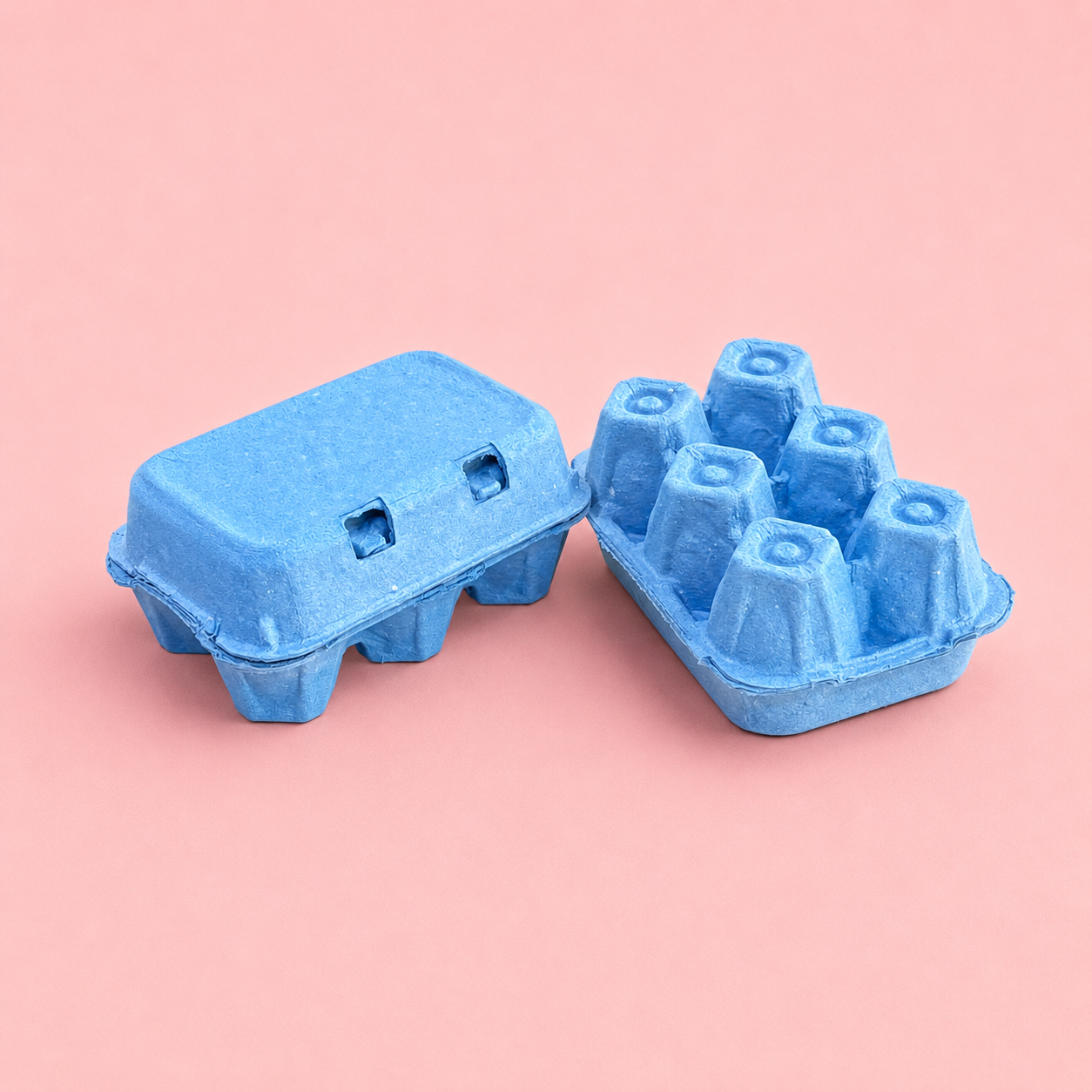 Coloured 6 Egg Cartons 