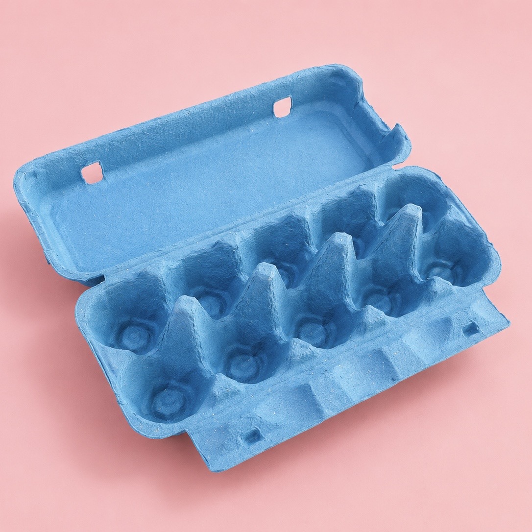Coloured 10 Egg Cartons