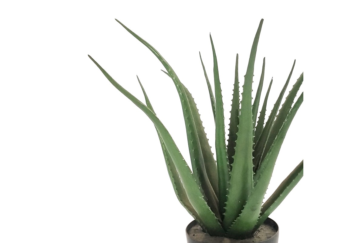 Aloe Vera Artificial Plant