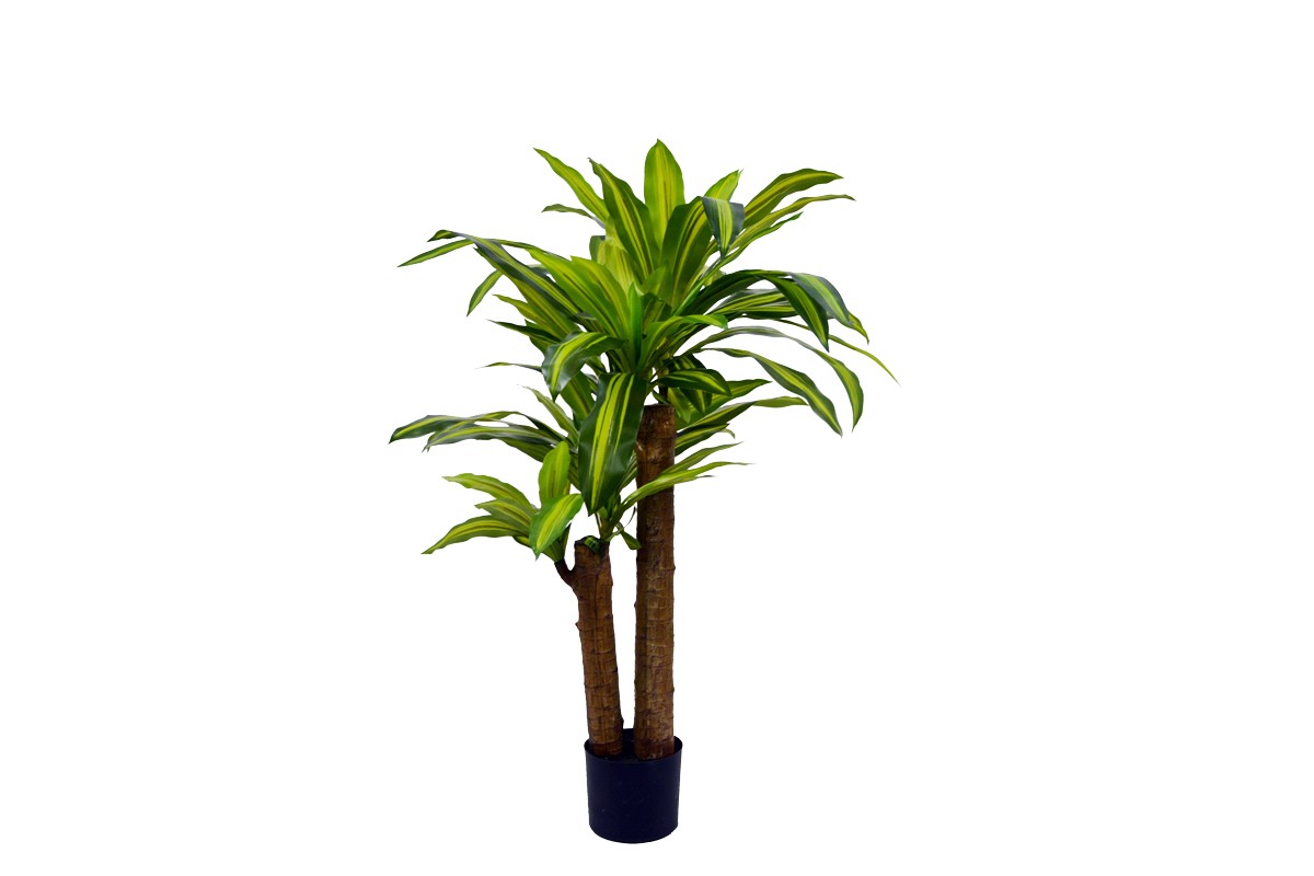 Artificial Dracaena Plant