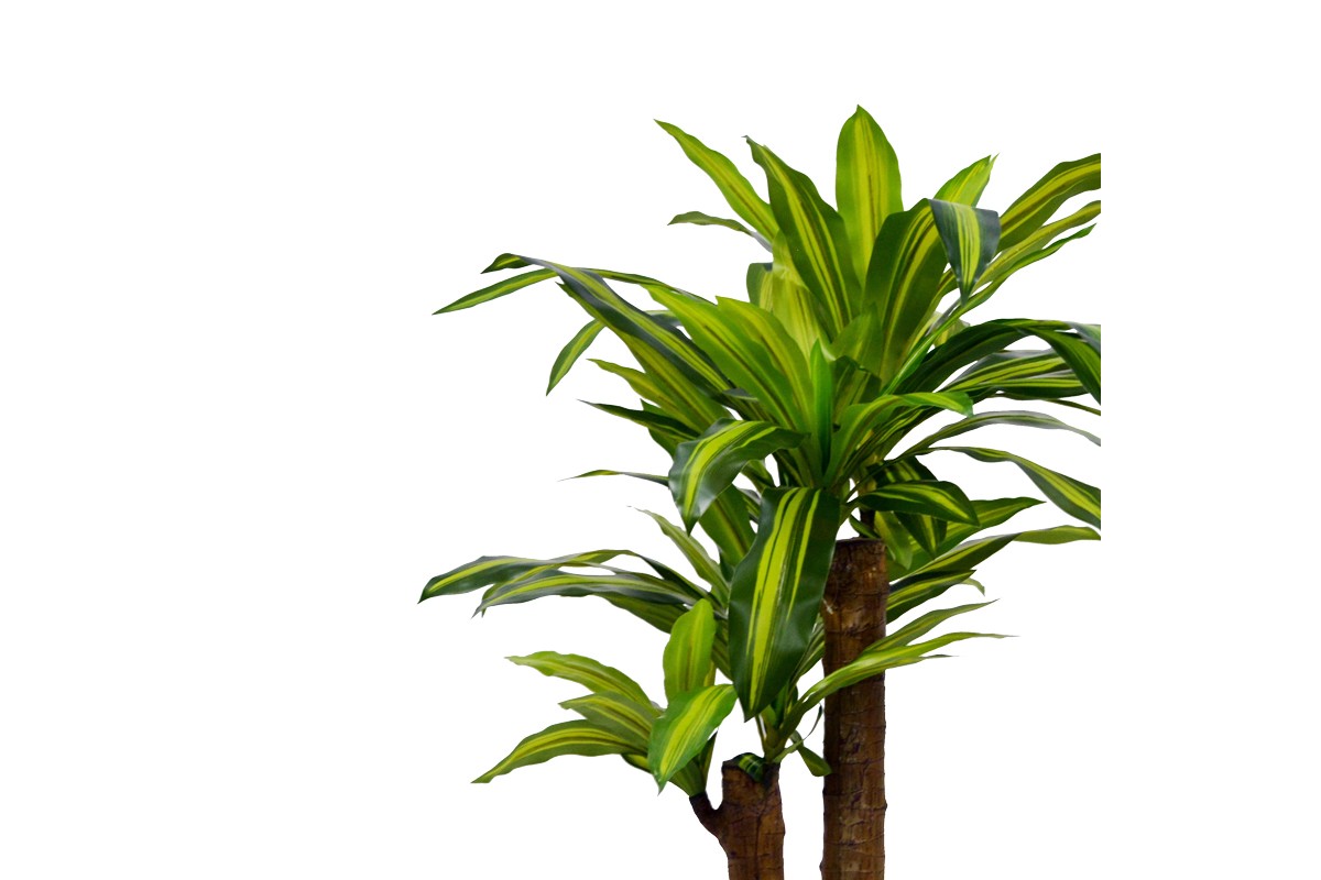 Artificial Dracaena Plant