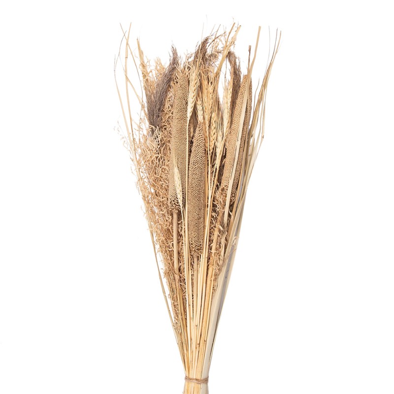 Dried Decorative Grass Bouquet