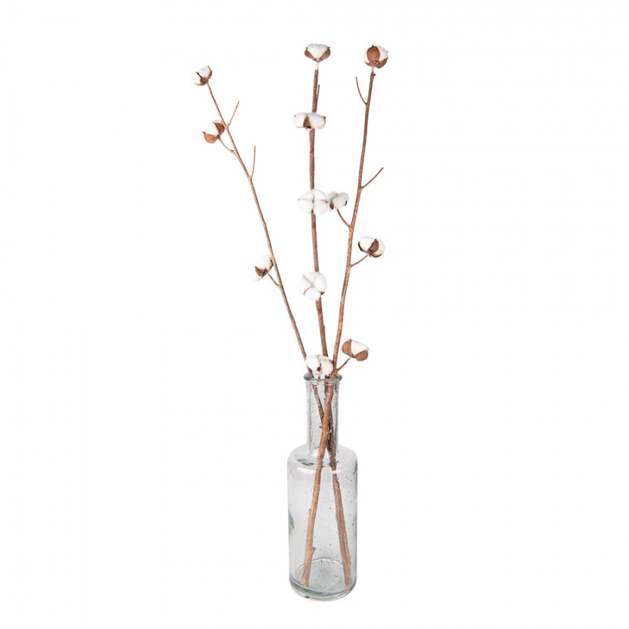 Cotton Stems