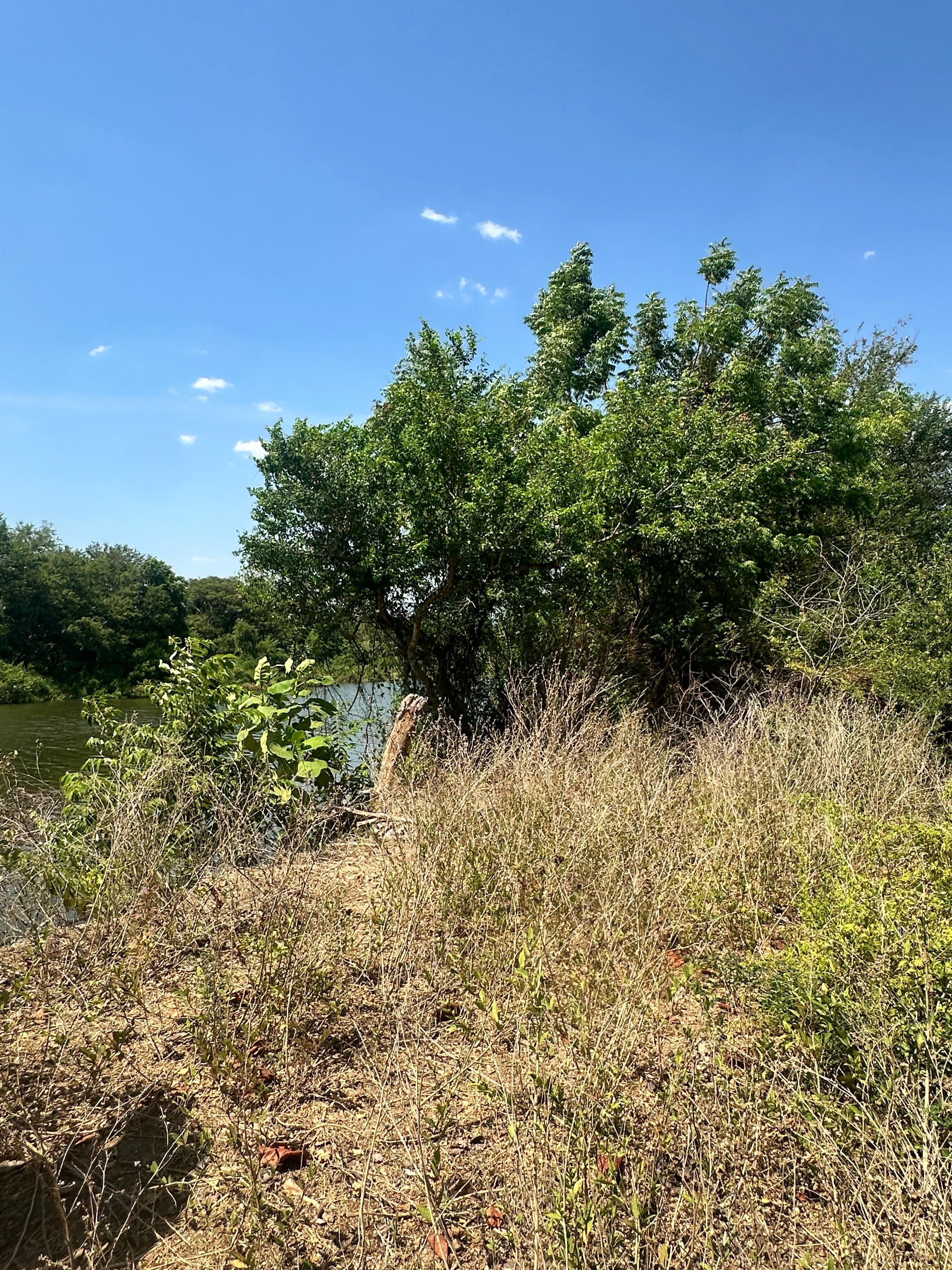 💎VENTA DE TERRENO EN PLAYA CANGREJERA, LA LIBERTAD!!   