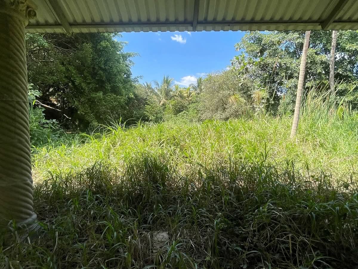 SE VENDE LA LIBERTAD