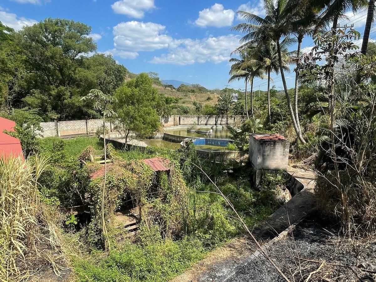 SE VENDE LA LIBERTAD