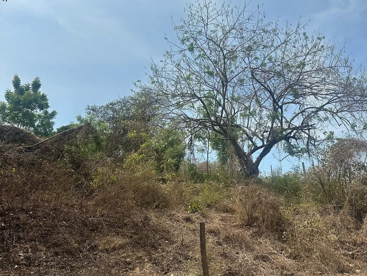 SE VENDE LA LIBERTAD CANTON EL TIGRE