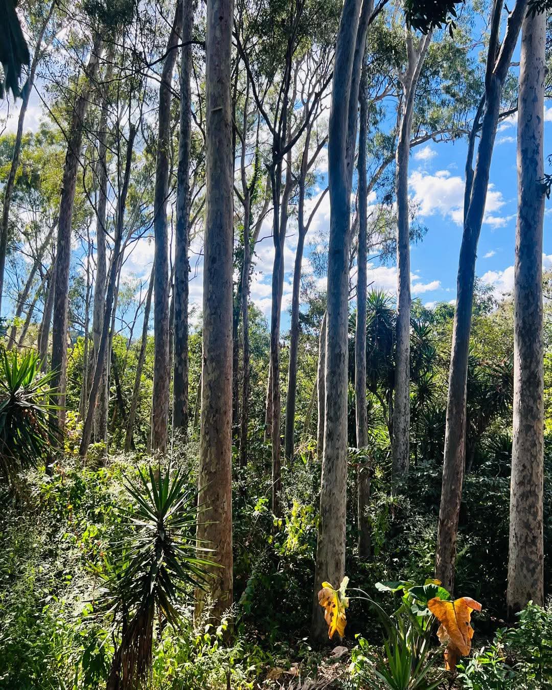 SE VENDE LA LIBERTAD SACACOYO