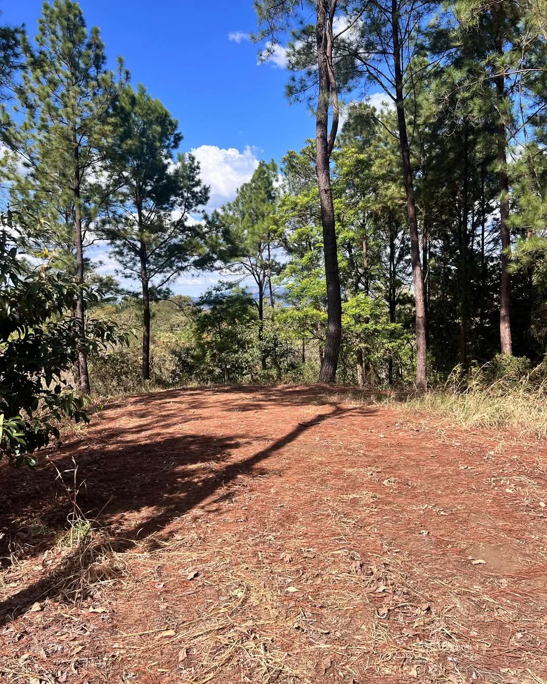 SE VENDE LA LIBERTAD SACACOYO