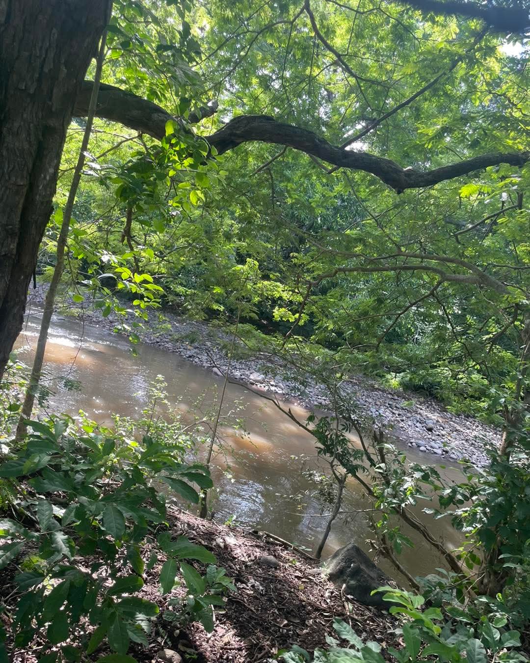 SE VENDE LA LIBERTAD EL ZONTE 