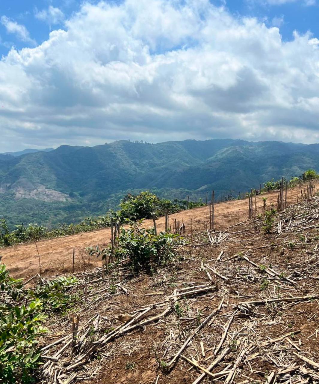 SE VENDE LA LIBERTAD PENON DE COMASGUA