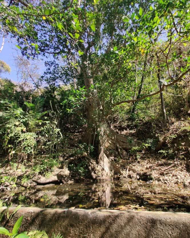 SE VENDE LA LIBERTAD EL TUNCO