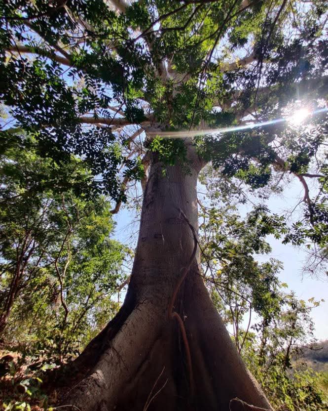 SE VENDE LA LIBERTAD EL TUNCO