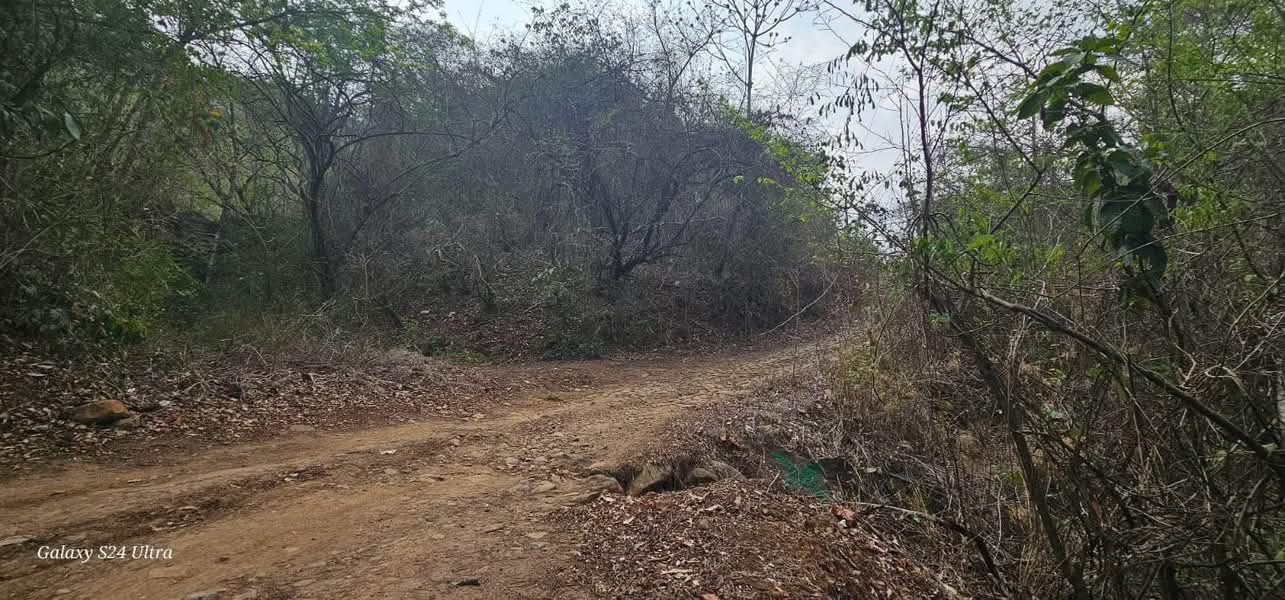 SE VENDE LA LIBERTAD 