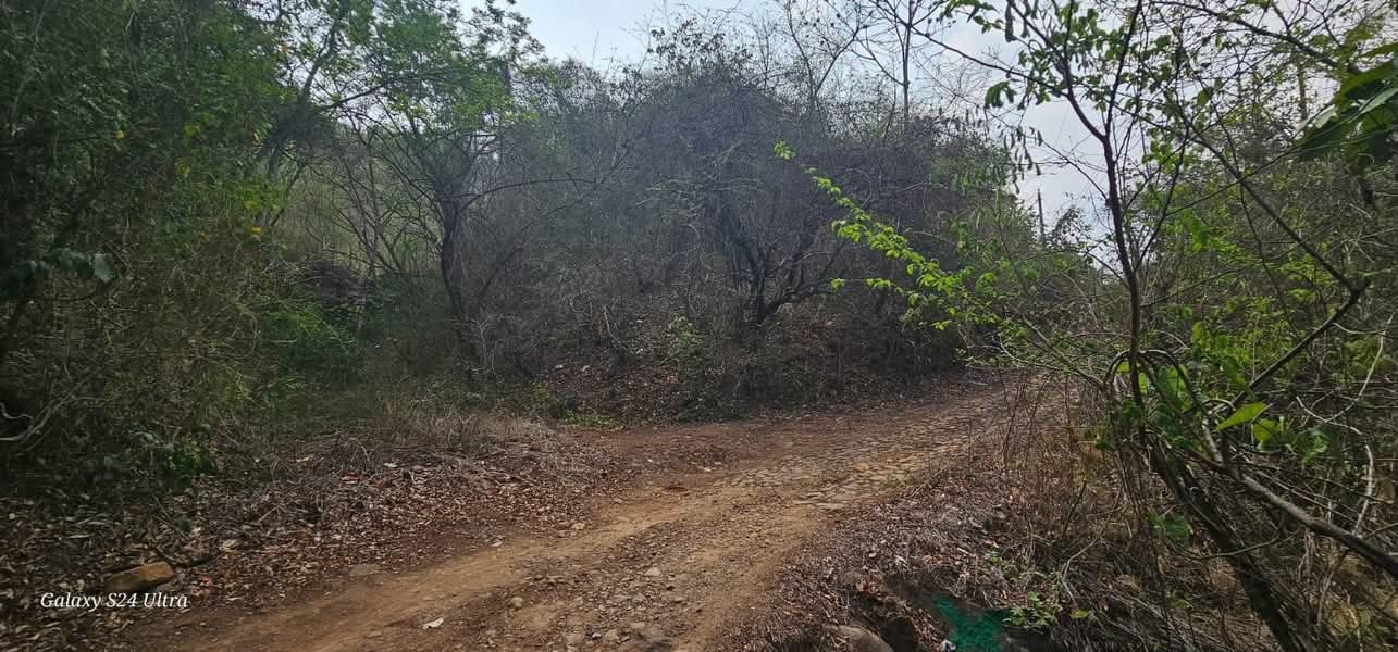 SE VENDE LA LIBERTAD 