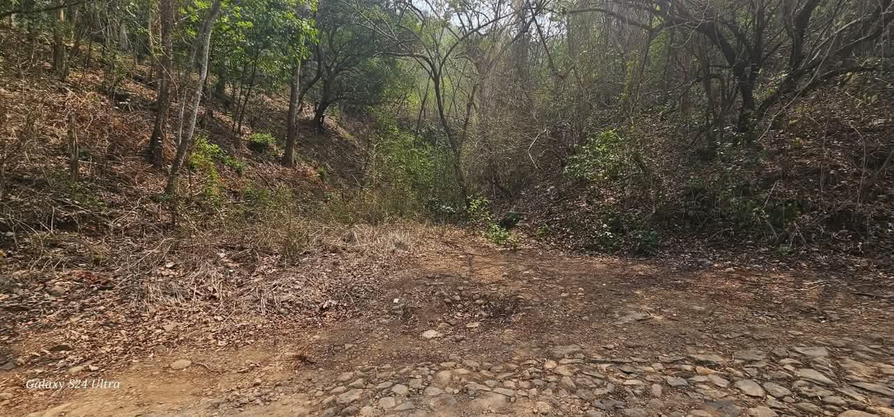 SE VENDE LA LIBERTAD 