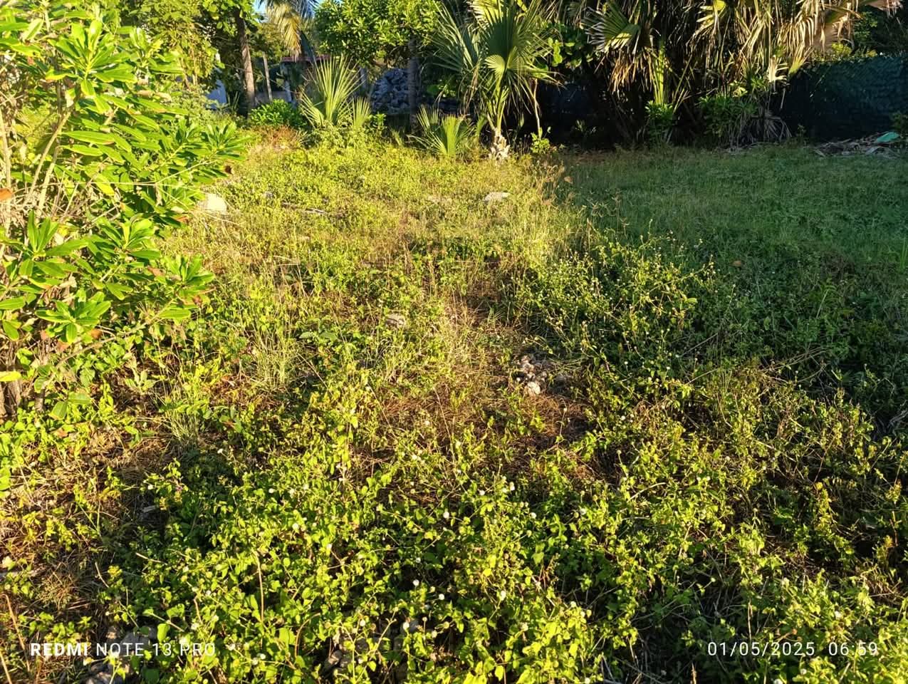 SE VENDE LA LIBERTAD