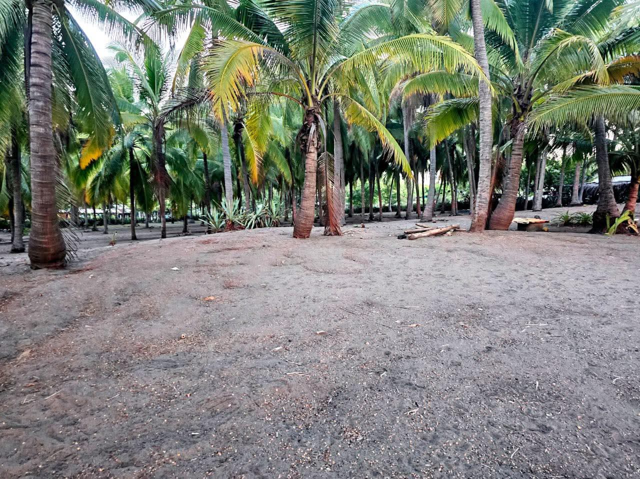 AHUACHAPAN GARITA LA PALMERA EL ZAPOTE 