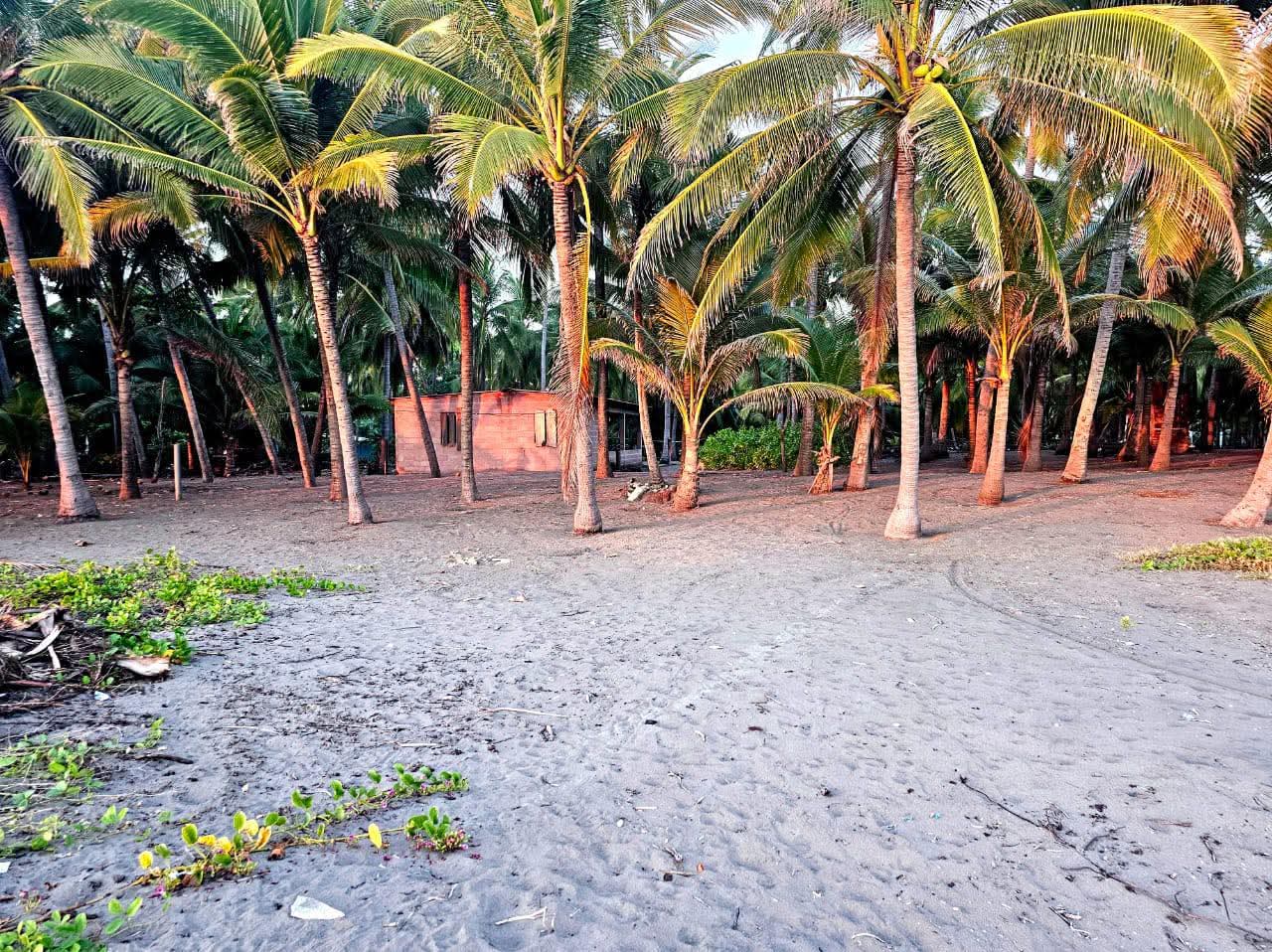 AHUACHAPAN GARITA LA PALMERA EL ZAPOTE 