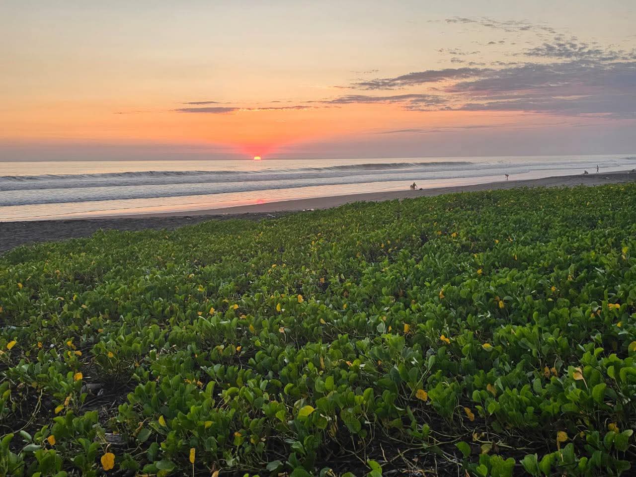 AHUACHAPAN GARITA LA PALMERA EL ZAPOTE