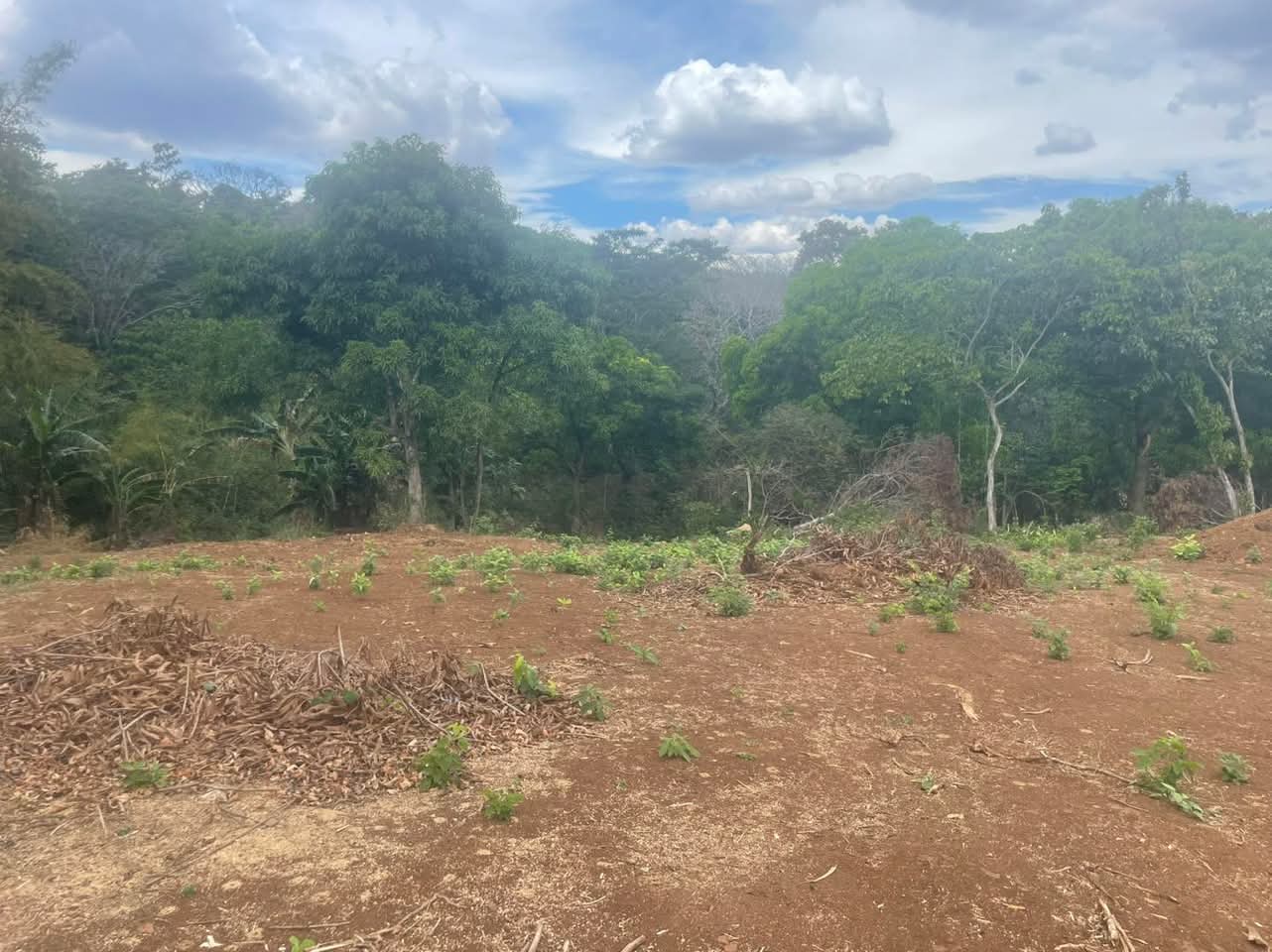 AHUACHAPAN TERRENO A ORILLA DE CALLE 