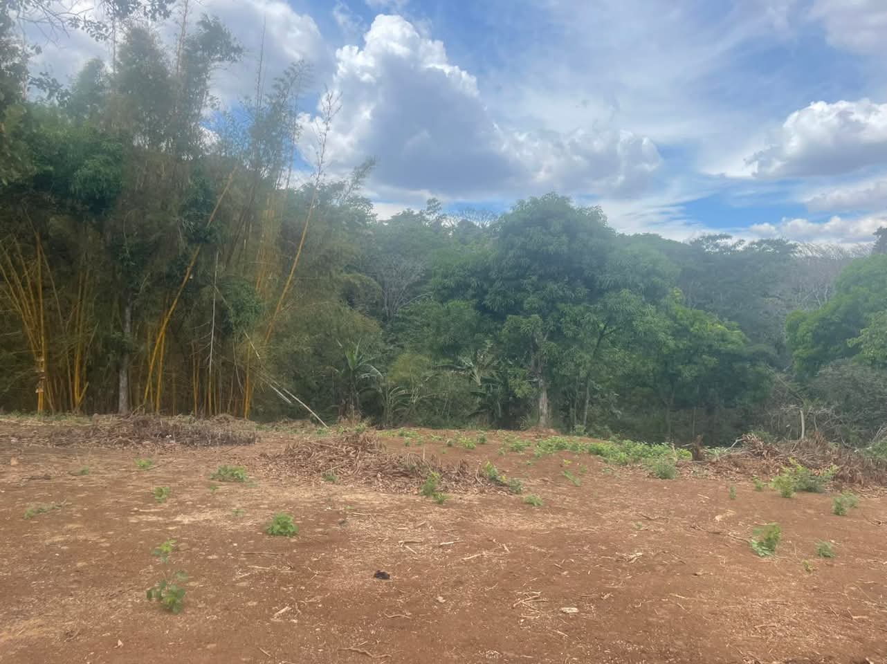 AHUACHAPAN TERRENO A ORILLA DE CALLE 