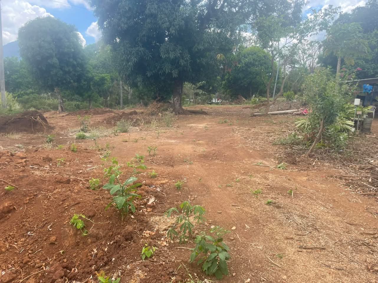 AHUACHAPAN TERRENO A ORILLA DE CALLE 