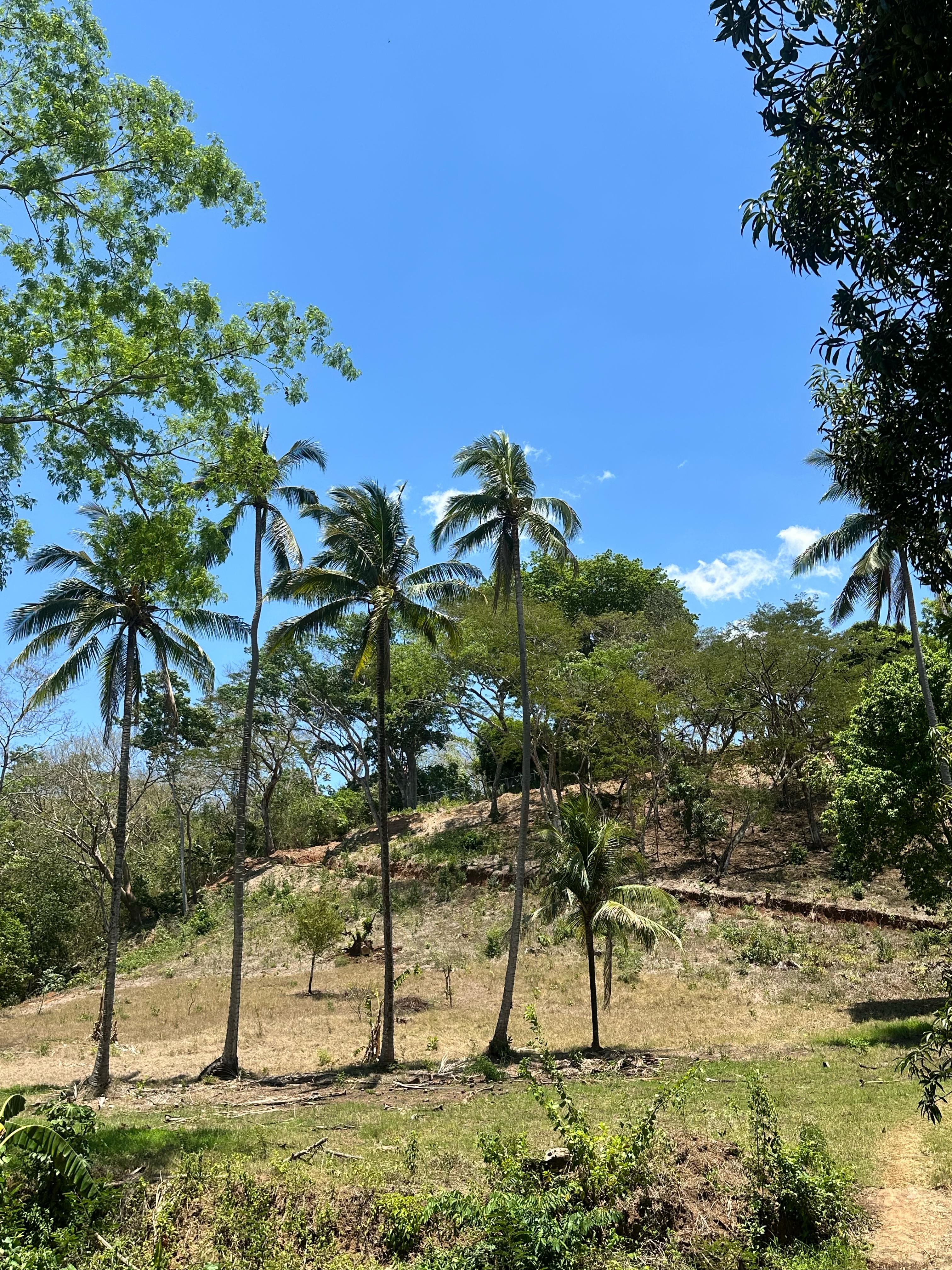 AHUACHAPAN GUAYMANGO 6 MANZANAS