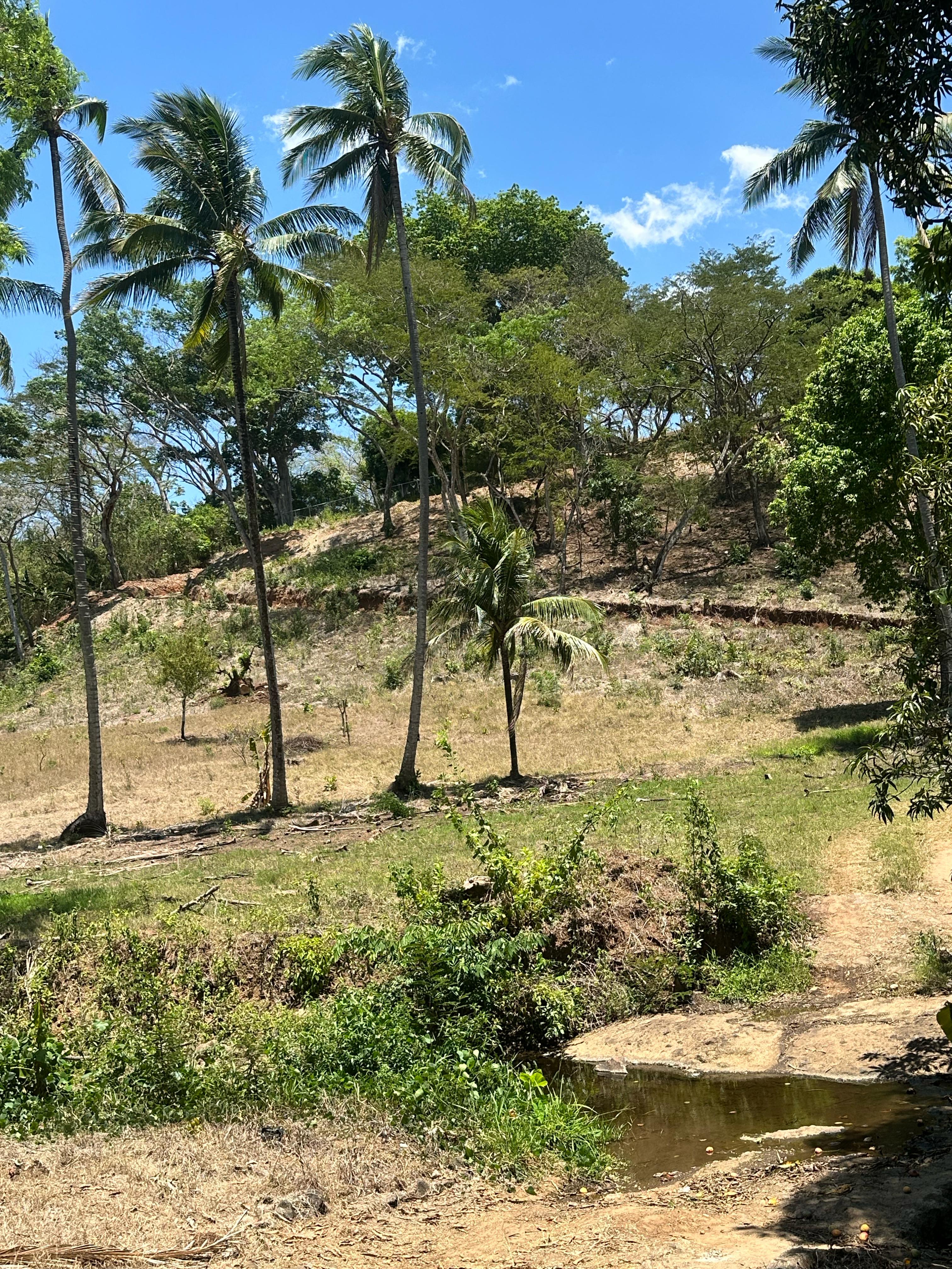 AHUACHAPAN GUAYMANGO 6 MANZANAS
