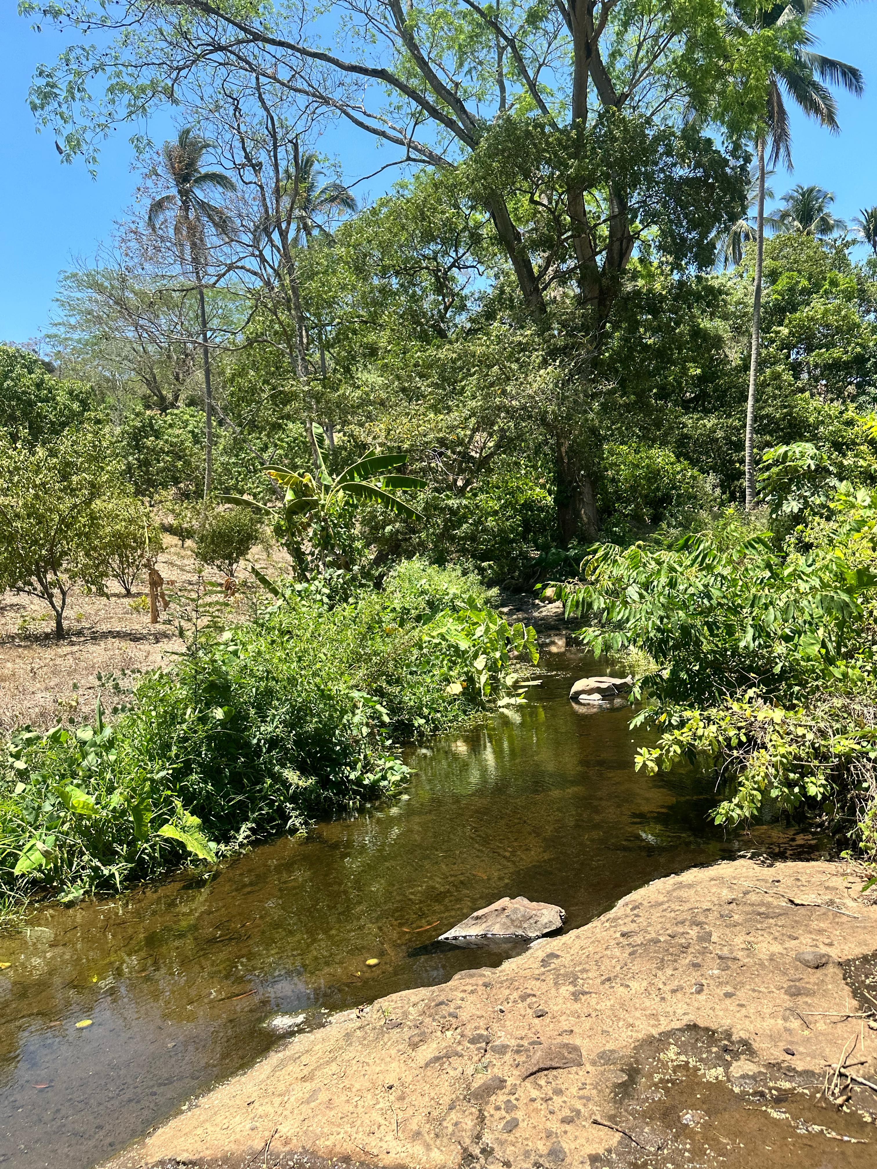 AHUACHAPAN GUAYMANGO 6 MANZANAS