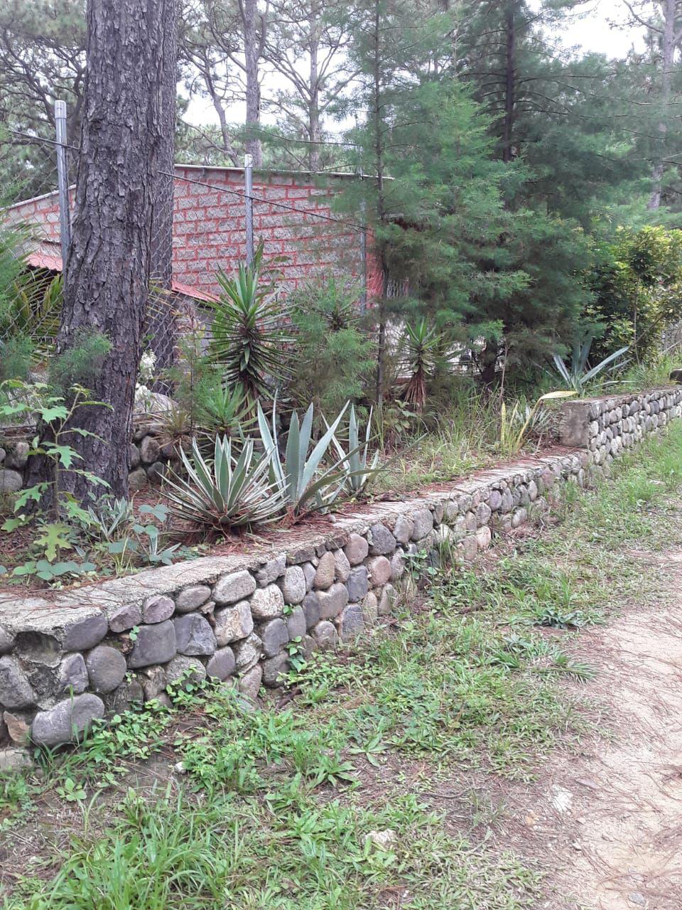 CHALATENANGO CANTON EL ROSARIO 3 LOTES SAN IGNACIO