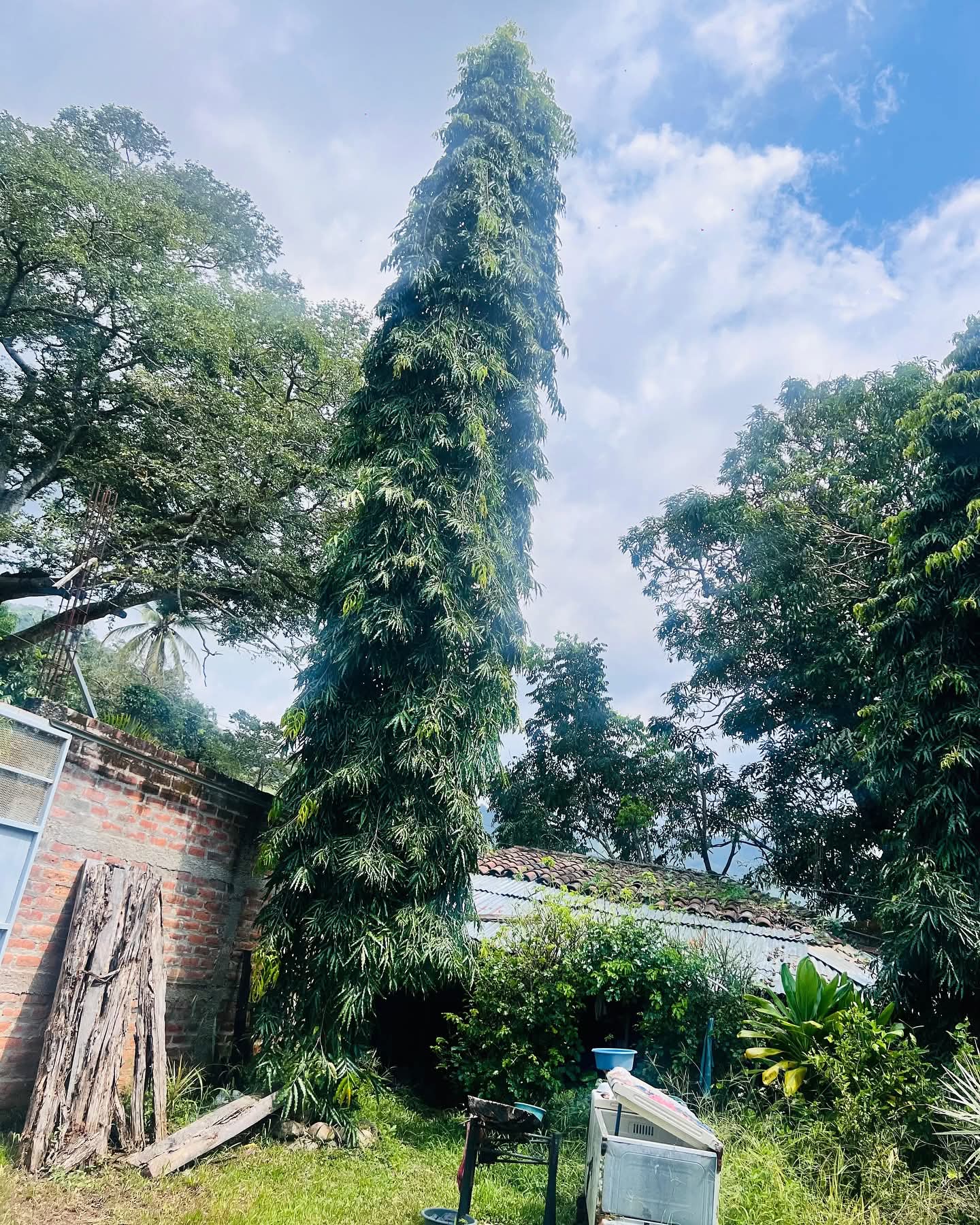 CHALATENANGO COCEPCION QUEZALTEPEQUE