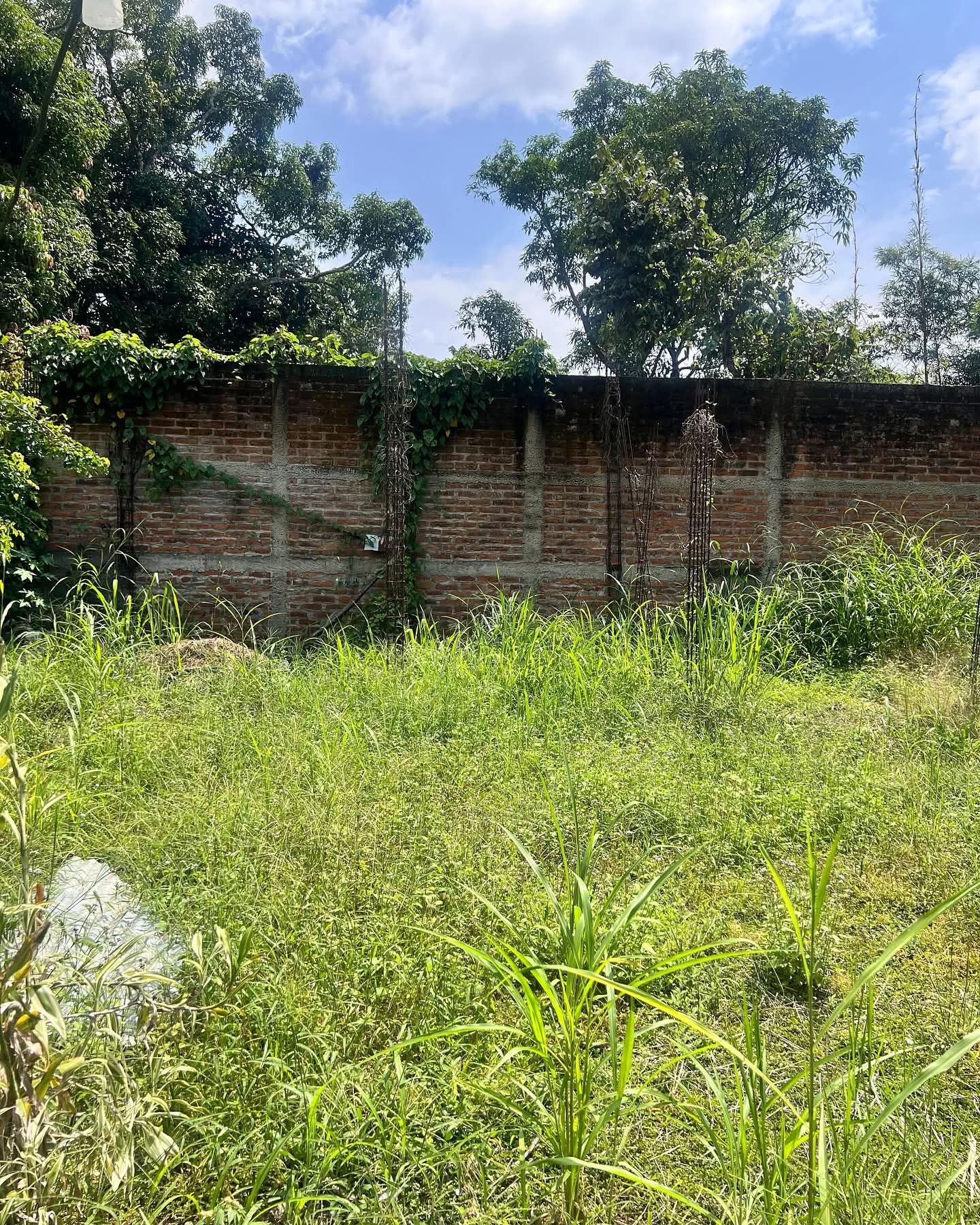 CHALATENANGO COCEPCION QUEZALTEPEQUE