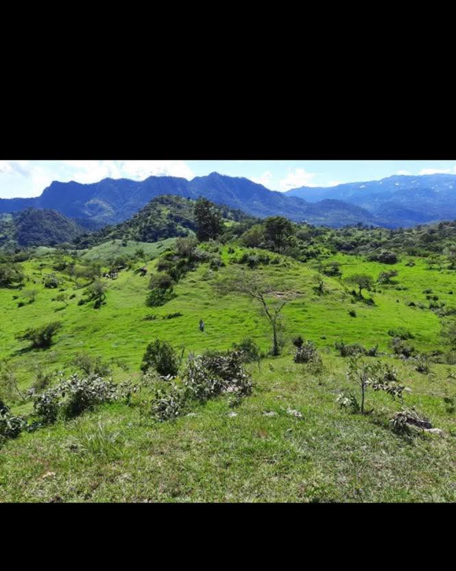 CHALATENANGO SAN IGNACIO 12 MANZANAS