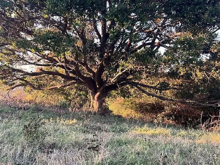 CHALATENANGO SAN IGNACIO 